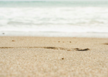 Unsplash