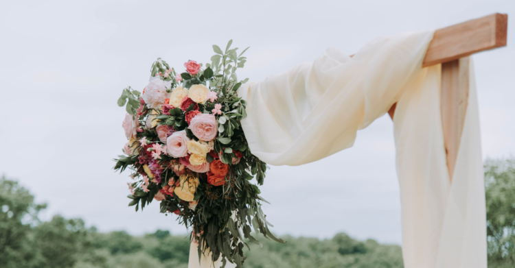Unsplash | Samantha Gades