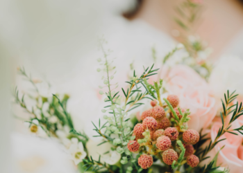 Unsplash | CHUTTERSNAP