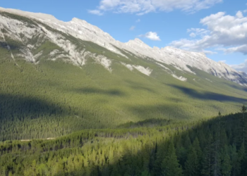 Reddit | [deleted]