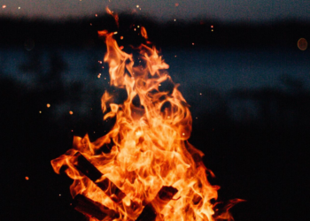 Unsplash | Nathan Lindahl