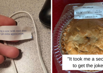 Reddit