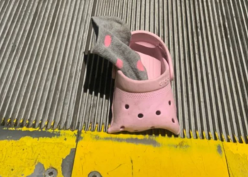 Reddit | ventriclez