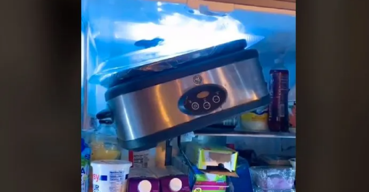 TikTok | @sarah_jade_