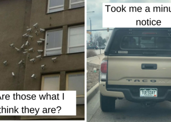 Reddit