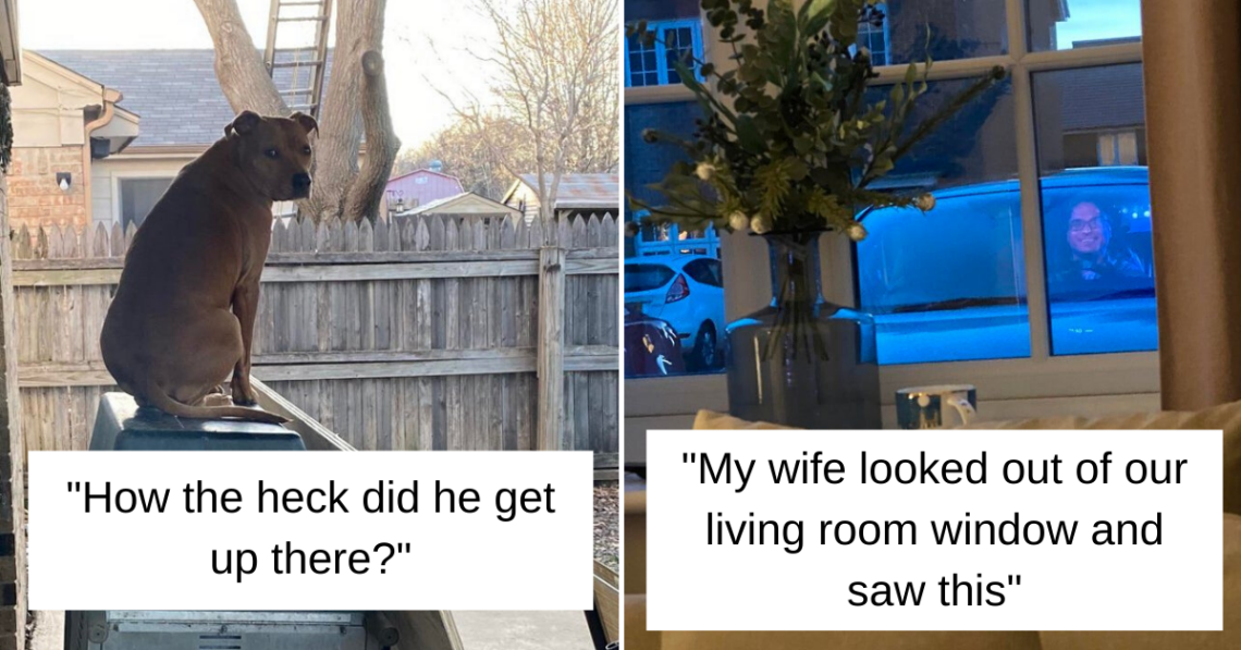 Reddit