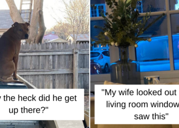 Reddit