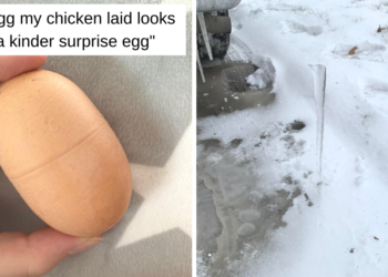 Reddit