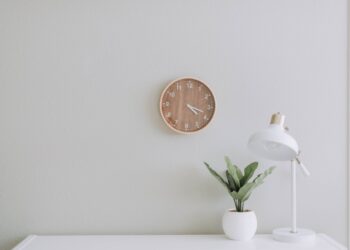Unsplash | Samantha Gades