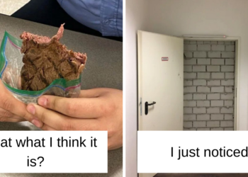 Reddit