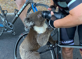 Instagram | @bikebug2019