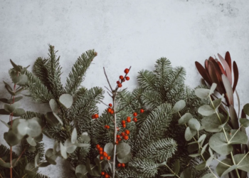 Unsplash
