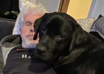 Instagram | @perlmutations