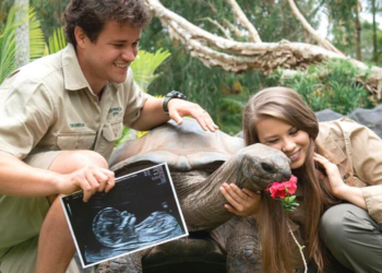 Instagram | @bindisueirwin