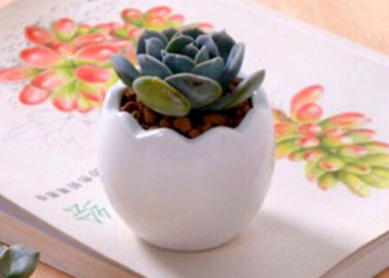 Etsy | JOJODIYCRAFT