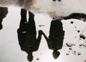 Unsplash | The HK Photo Company