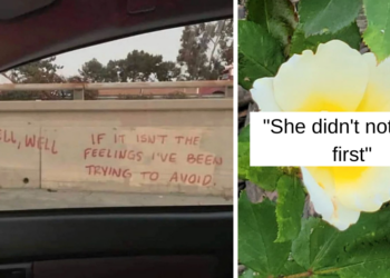 Reddit