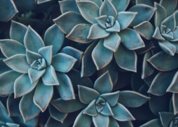 Unsplash | Blanca Paloma Sánchez