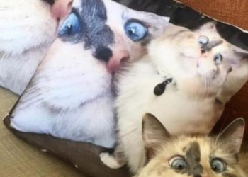 Reddit | ythttfyjjmrhjghjfhgh