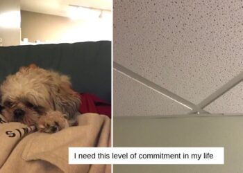 Reddit