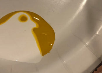 Reddit | slimcharlie666