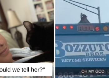Reddit