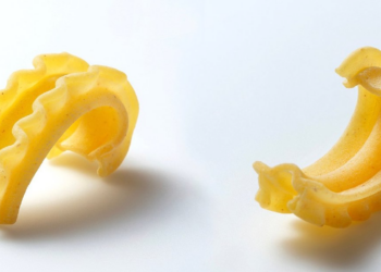 Filibustre