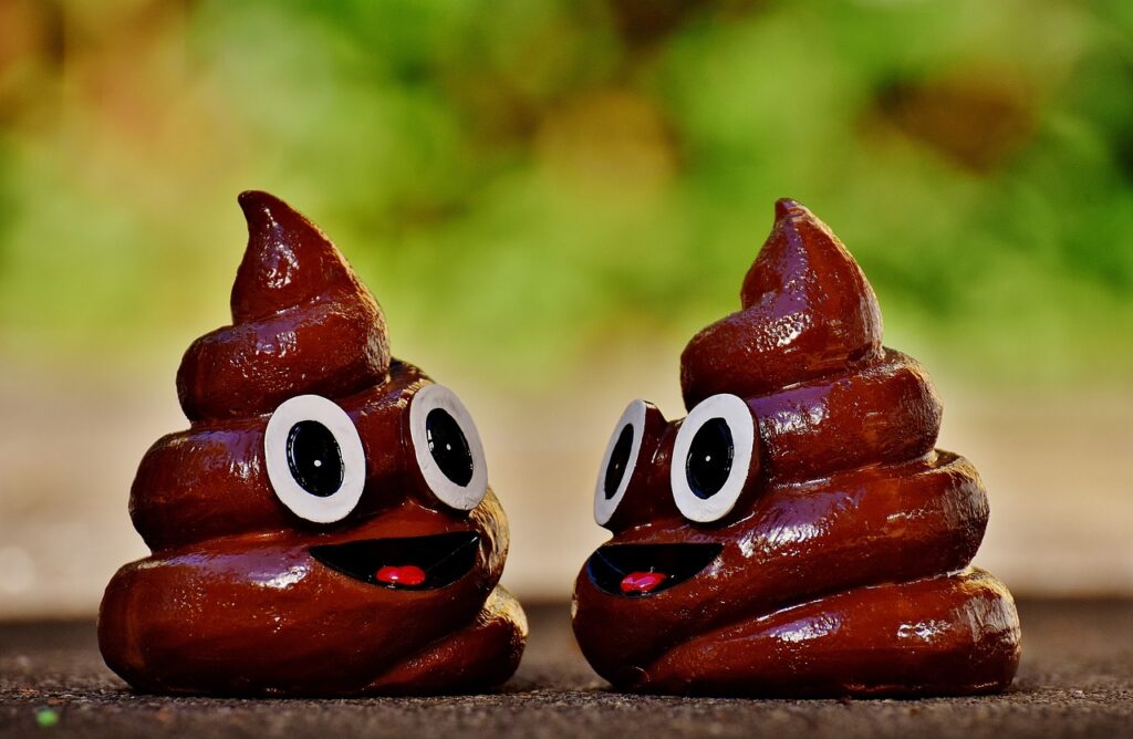Two 3D poop emojis face each other in front of a blurred background 