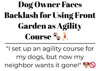 Diply | Diply