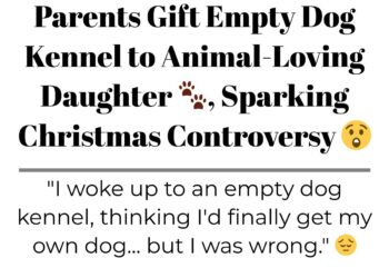 Diply | Diply