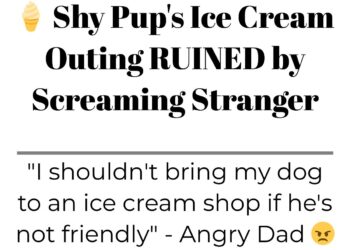 Diply | Diply