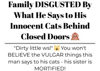 Diply | Diply