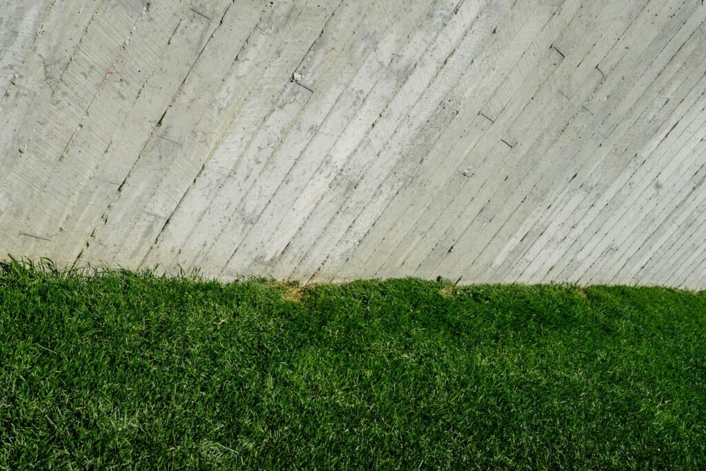 green grass lawn