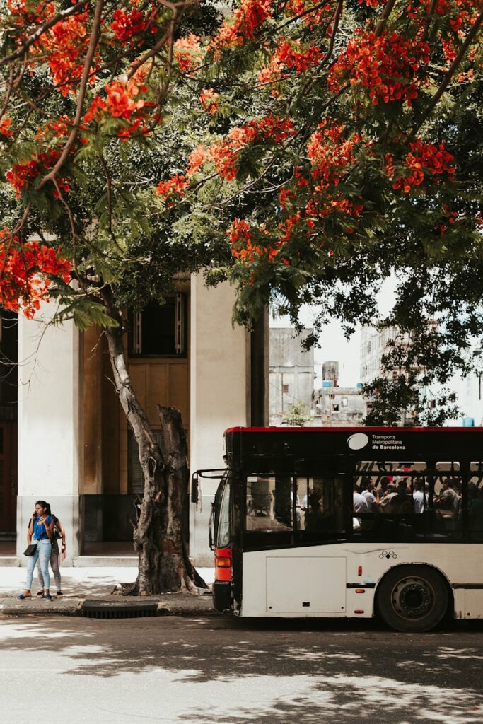 A picture of a bus parked near a tree