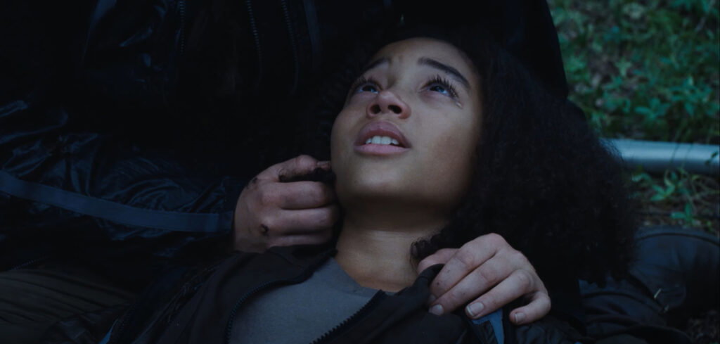 Rue dies while being held by Katniss in The Hunger Games