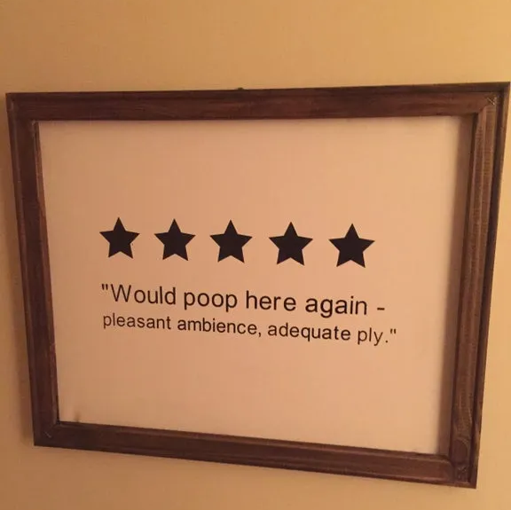 a framed review for a bathroom that says “5 stars would poop here again - pleasant ambiance, adequate ply”