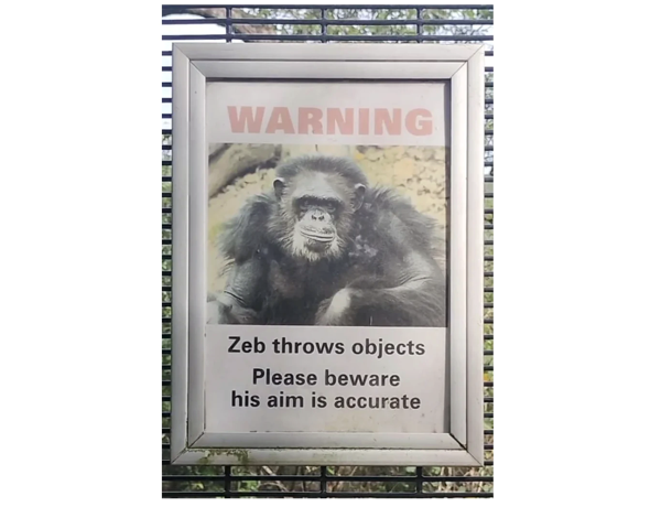 a sign with a picture of a gorilla that says “warning zeb throws objects please be aware his aim is accurate”