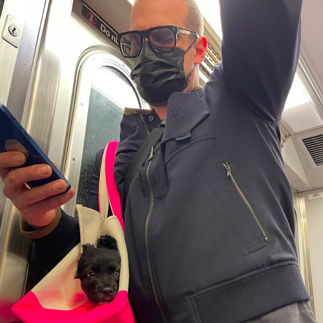 Lily Allen ex husband and ex puppy on subway