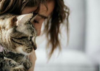 woman holding a tabby cat near her face
