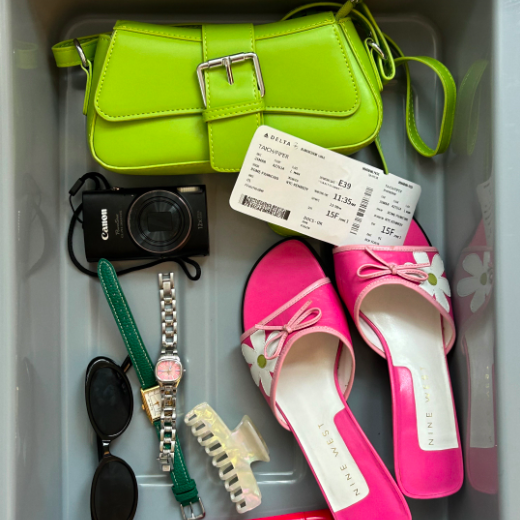 TSA tray