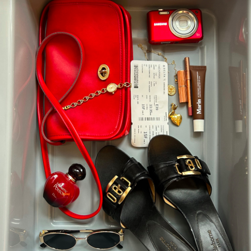 TSA tray