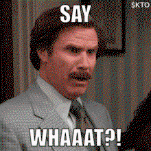 say what gif