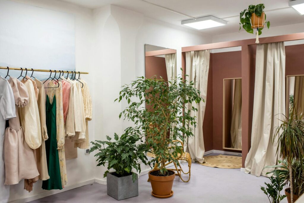 Green Potted Plant Near Fitting Room