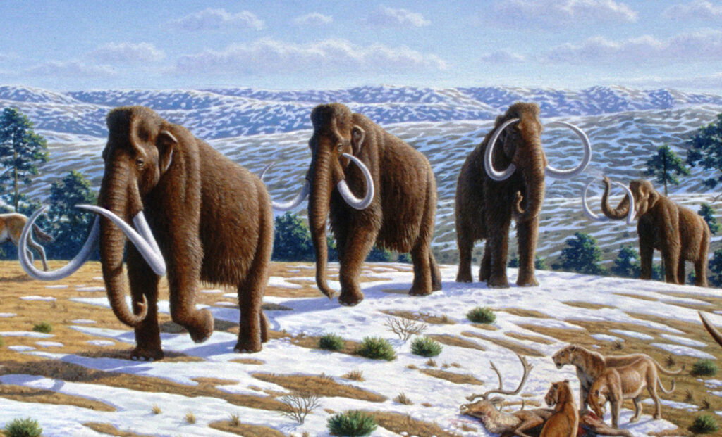 a painting of woolly mammoths walking on tundra