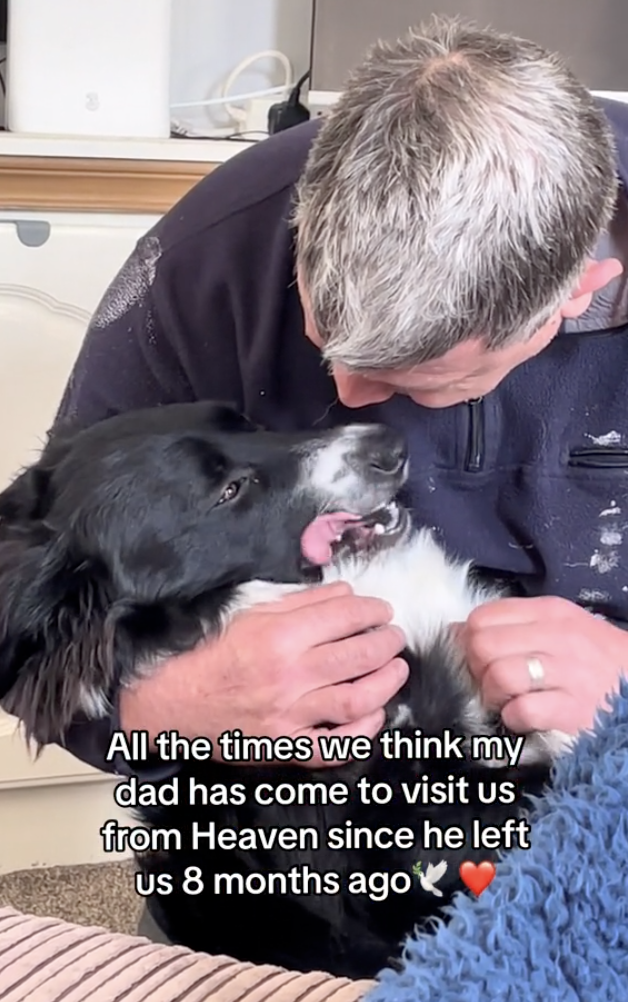 TikTok video of dog seeing late father's ghost