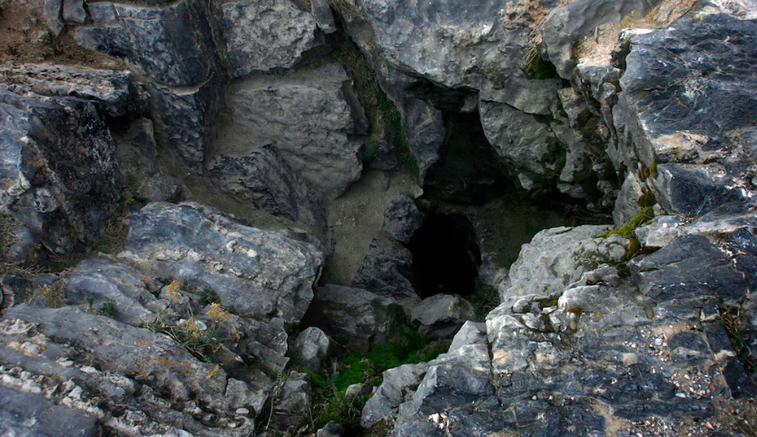 An image of the opening of Nutty Putty cave