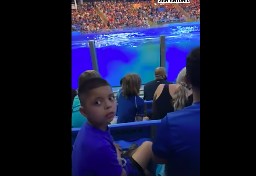 The audience at SeaWorld in front of water and orca whale show 