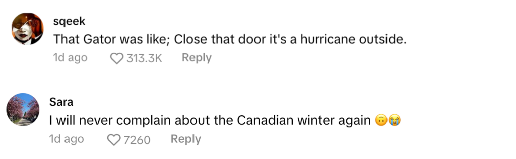 TikTok comments