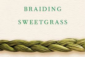 The cover of Braiding Sweetgrass 