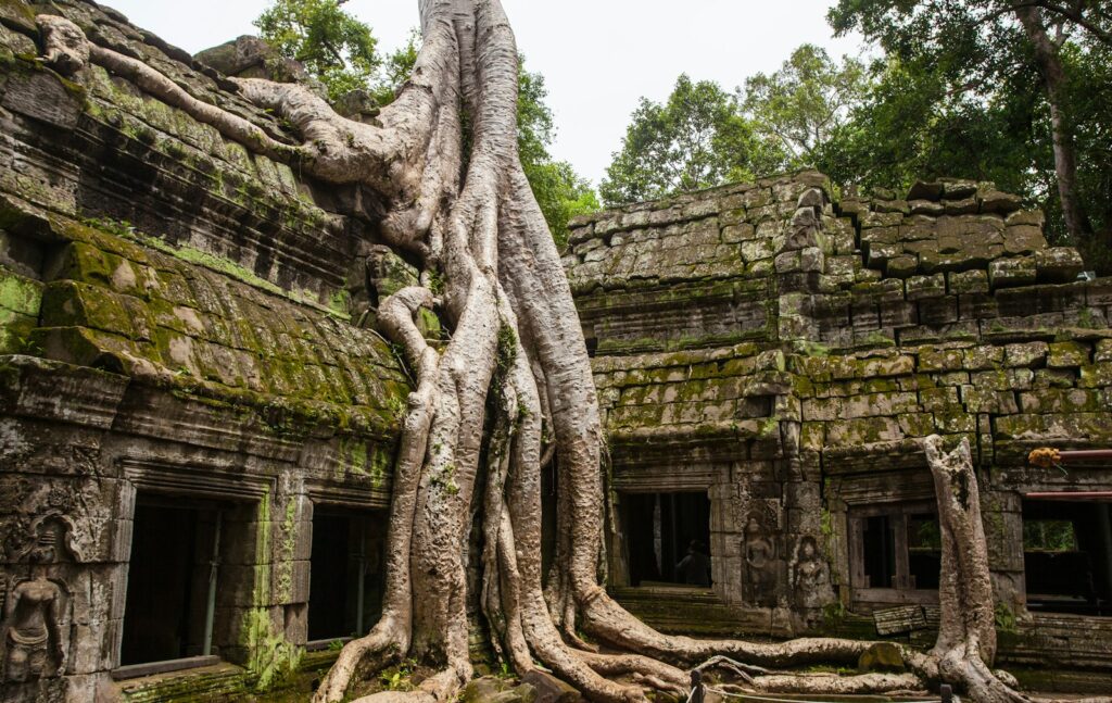 concrete temple with tree root on top